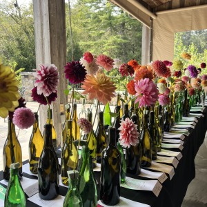 Single Bloom Competition 6